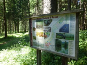 Naturlehrpfad im Rasner Biotop 