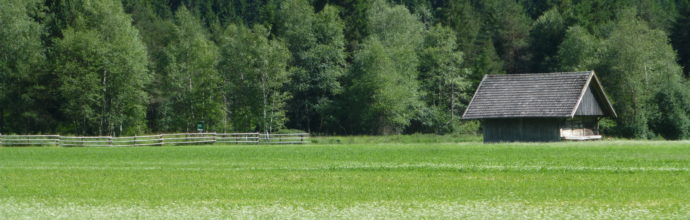 Spaziergänge im Antholzertal